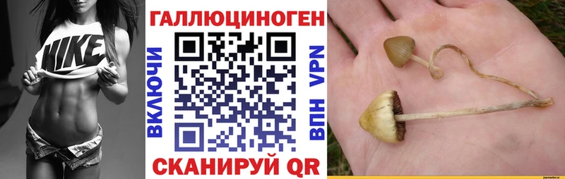 Купить где  Сатка  Псилоцибиновые грибы мухоморы 